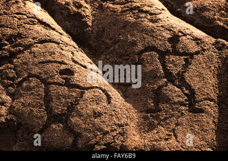 Big Island, Hawaii, Hawaii Volacoes National Park, Pu`uloa Petroglyphs in the ahupua`a(land division) of Panau Nui Stock Photo